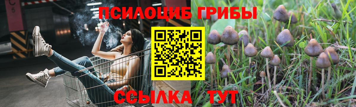 Галлюциногенные грибы мицелий Выборг
